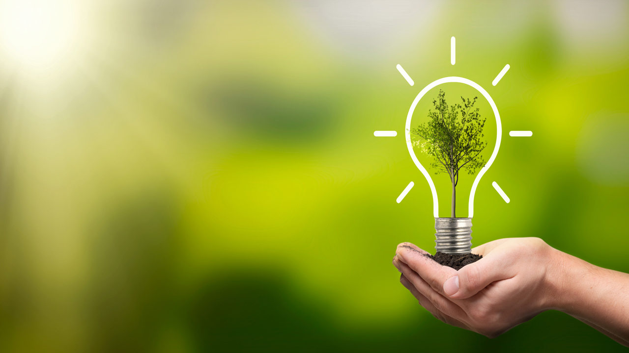 What You Should Know About Green Electricity
